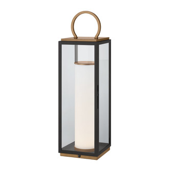 Gareth LED Table Lamp (RTL6729-PBR/TBK)