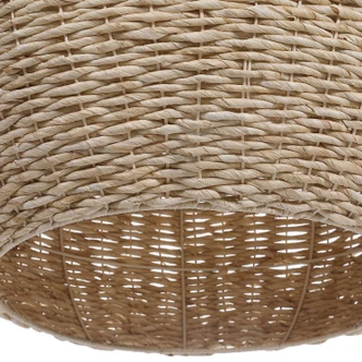 Seagrass One Light Pendant (21536)