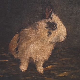 Resting Bunny Framed Print (32386)