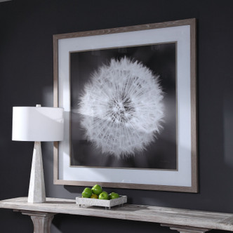 Dandelion Seedhead Framed Print (33711) Dandelion Seedhead Framed Print (33711)