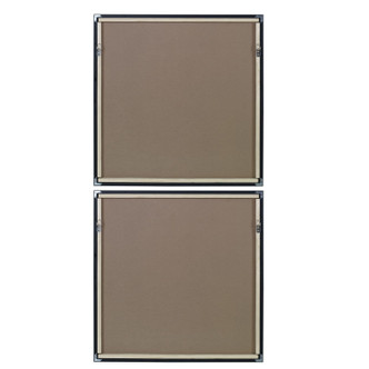 Vivacious Framed Prints, Set/2 (41449)