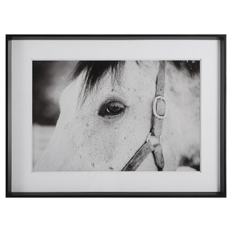 Uttermost - 41463 - Framed Print - Eye Of The Beholder - Satin Black Chamfered Edge