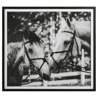 Uttermost - 41465 - Framed Print - Apple Of My Eye - Satin Black