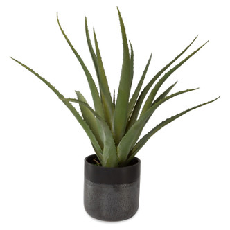 Uttermost - 60204 - Planter - Tucson - Textured Matte And Gloss Glazes