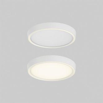 Dals - CFR12-3K-WH - Flush Mount - Bloom - WH
