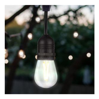 Light Bulb (S8027)