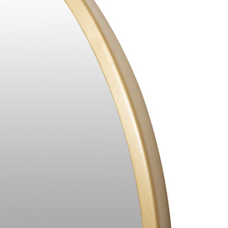 Varaluz Casa Mirror (428A01GO)