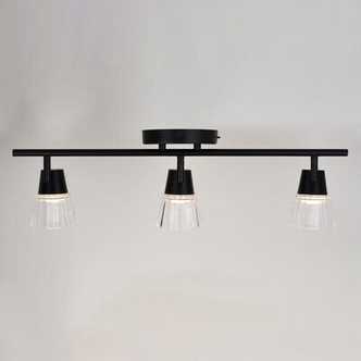 Dalton LED Directional Light (C0320)