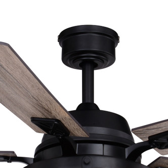 Elburn 52"Ceiling Fan (F0094)