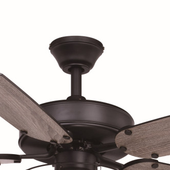 Reed 48"Ceiling Fan (F0099)