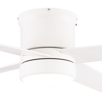 Erie 52"Ceiling Fan (F0107)