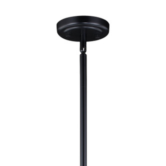 Kassidy Four Light Linear Chandelier (P0234)