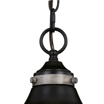 Sheffield One Light Pendant (P0367)