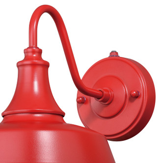 Dorado One Light Outdoor Wall Mount (T0486)