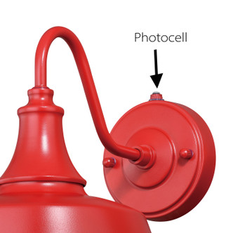 Dorado One Light Outdoor Wall Mount (T0486)