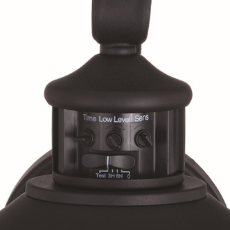 Abigail One Light Outdoor Motion Sensor Wall Mount (T0594)