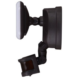 Theta LED Outdoor Motion Sensor Flood Light (T0615)