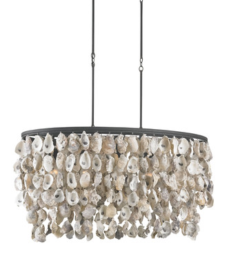 Currey and Company - 9492 - Five Light Chandelier - Oyster Shell - Natural/Blacksmith