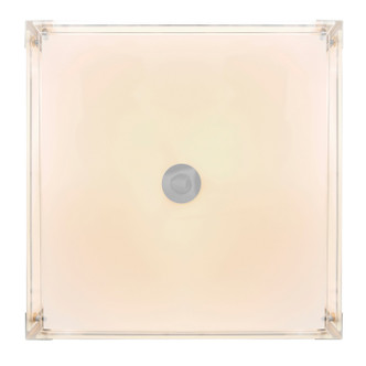 Lucie Three Light Chandelier (5571P14C-S)