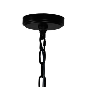 Amazon Four Light Pendant (9641P20-4-101)