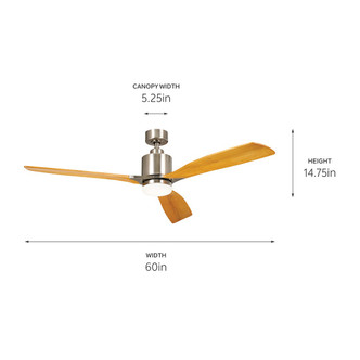 Ridley II 60" Ceiling Fan (300075BSS)