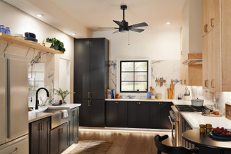 Lucian II 42"Ceiling Fan (330241SBK)