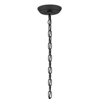 Harbor Row Four Light Outdoor Pendant (49718BKT)