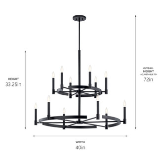 Tolani 12 Light Chandelier (52428BK)