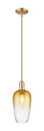 Innovations - 716-1S-CB-G484-7AM - One Light Mini Pendant - Arcadia - Champagne Bronze