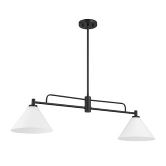 Two Light Chandelier (M100136MBK) Two Light Chandelier (M100136MBK)