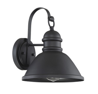 Moutd One Light Outdoor Wall Lantern (M50016BK)