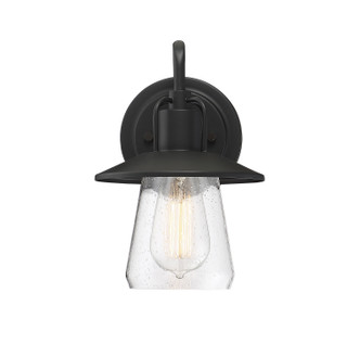 Moutd One Light Outdoor Wall Lantern (M50022BK)