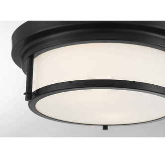 Two Light Flush Mount (M60062MBK)