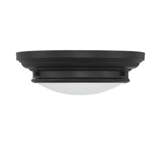 Two Light Flush Mount (M60063MBK)
