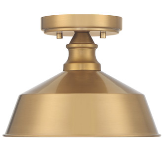 One Light Semi-Flush Mount (M60068NB)