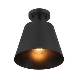 One Light Semi-Flush Mount (M60076MBK)