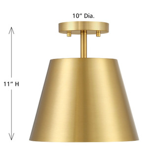One Light Semi-Flush Mount (M60076NB)