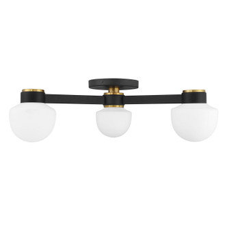 Three Light Semi-Flush Mount (M60079MBKNB)