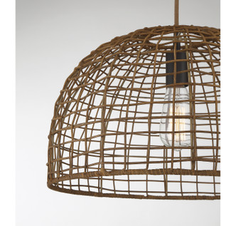 One Light Pendant (M70105DR)