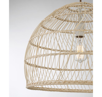 One Light Pendant (M70106NR)