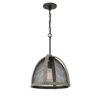 One Light Pendant (M70111DWW)