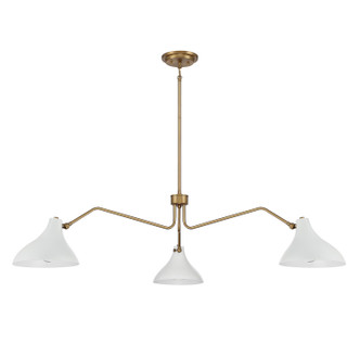 Three Light Pendant (M7019WHNB)