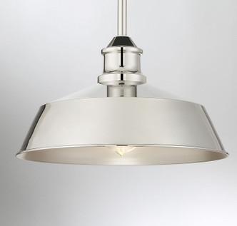 One Light Pendant (M7021PN)