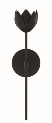 One Light Wall Sconce (M90081MBK)