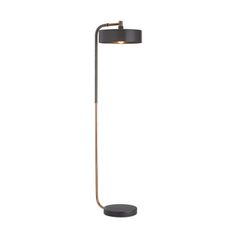 Aaron One Light Floor Lamp (79813)