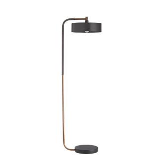 Aaron One Light Floor Lamp (79813)