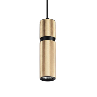 Avenue Lighting - HF1075-BBK - LED Pendant - Cicada - Knurled Brass With Black