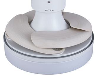 Orbit 36``Ceiling Fan (21066401)