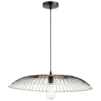 Cyan - 10794 - One Light Pendant - Matte Black