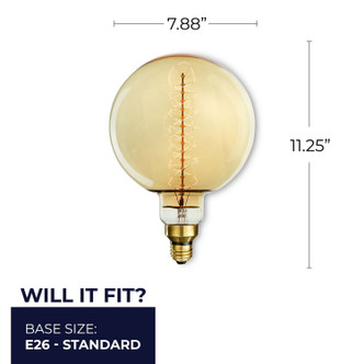 10 Light Bulb (137401)